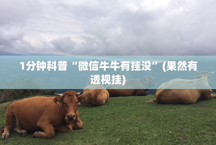 4分钟了解“手机填大坑下挂怎挂”(必胜开挂神器)