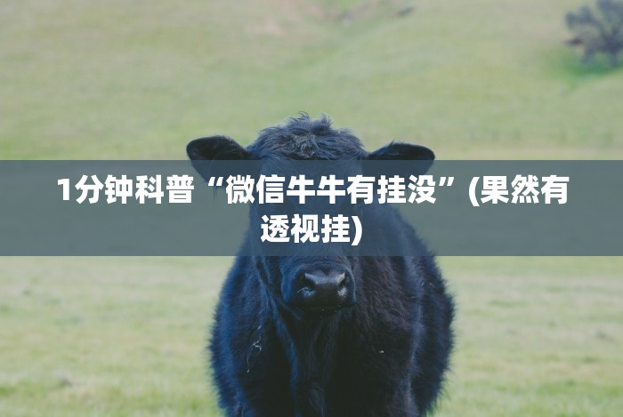 辅助神器“微乐跑得快挂怎么发现最新辅助详细教程