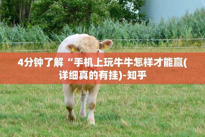 实测脚本“丫丫跑胡子有挂吗”-必赢神器安装