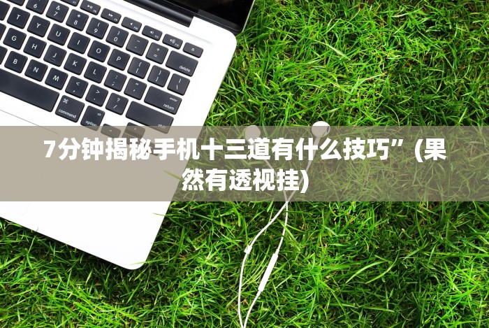 3分钟教程“永州扯胡子技巧”(果然有透视挂)