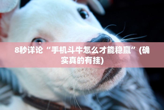 知识科普“中至吉安王炸比奖有什么规律吗!详细开挂教程