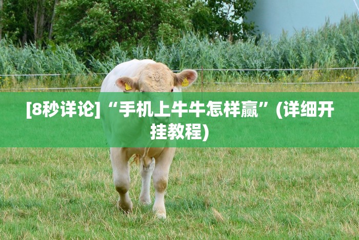 【最新科普】朱雀大厅可以作弊吗”(透视曝光猫腻)