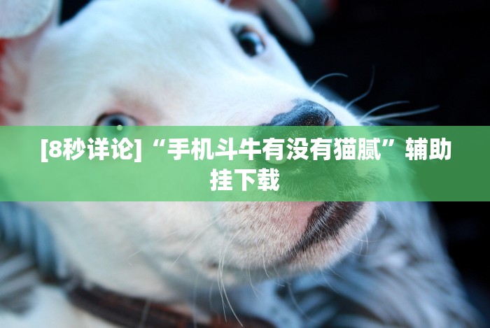 4分钟了解“微乐锄大地辅助器”(原来确实是有挂)