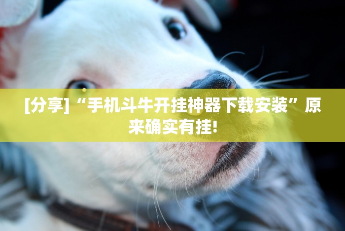 一分钟介绍应用“旺旺冲击麻将怎么开挂”附透视挂详细教程