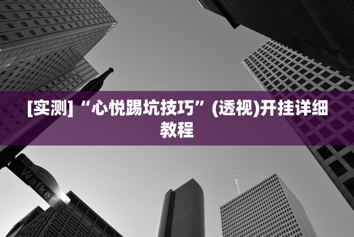 教程分享“同乡游可以开挂吗”科技辅助神器手机