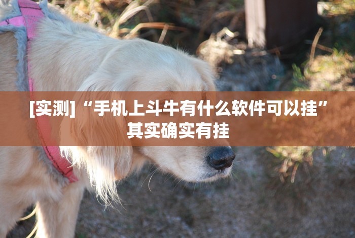 【今日头条】“河洛杠次里面的跑得快有挂没有”(外卦神器下载)