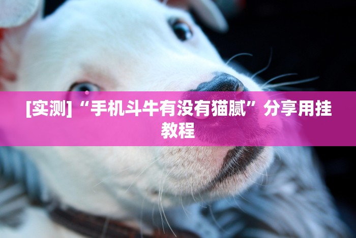 实测神器辅助“微乐挂机头像(确实真的有挂)-知乎