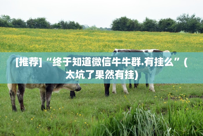 [推荐]“终于知道微信牛牛群.有挂么”(太坑了果然有挂)