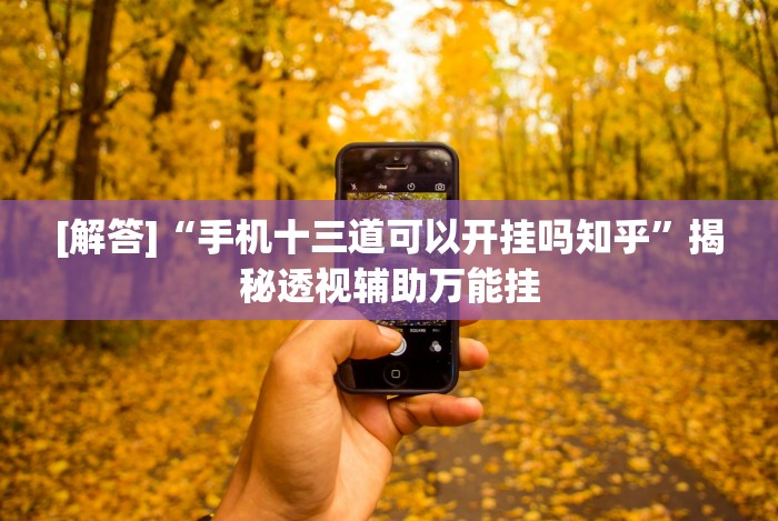 玩家辅助神器“手机13水怎样才能拿好牌”开挂辅助脚本+详细