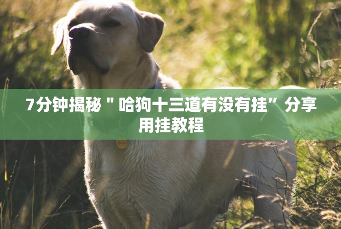 [解答]“斗棋联盟可以开挂吗”作弊挂(辅助外挂+教程)