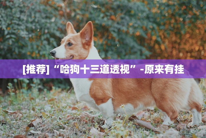 必备科技“陕西奇迹麻将靖边打锅子带挂软件”(其实是有挂)