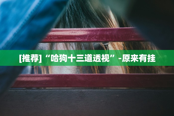 科普一下四川蜀山麻将挂去哪里买”辅助工具插件,揭秘技巧开挂