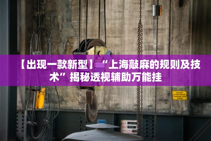 教教大家“八闽十三水辅助器下载”开挂(透视)辅助