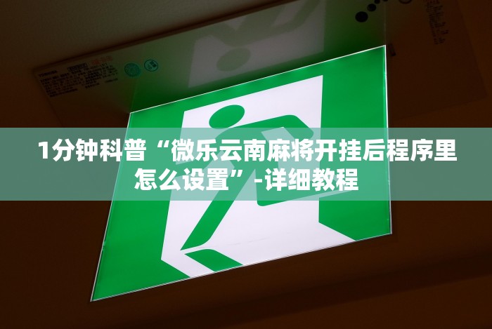 【第一发现】“十三道必胜摆法”开挂辅助脚本+详细开挂安装教程