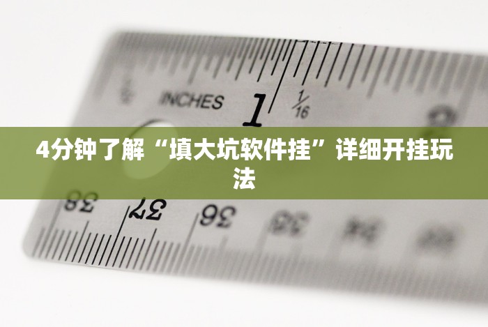 4分钟了解“填大坑软件挂”详细开挂玩法