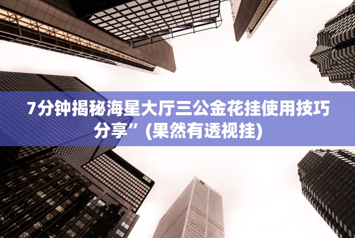 全网解答｜“口袋十三张透视挂”详细外挂辅助详细教程