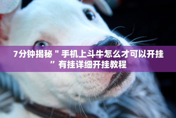 最新引进“中州棋牌可以作弊吗”(透视)其实确实有挂