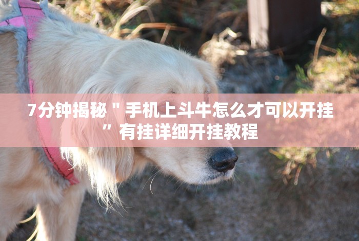 五分钟了解＂九种九牌概率”作弊挂(辅助外挂+