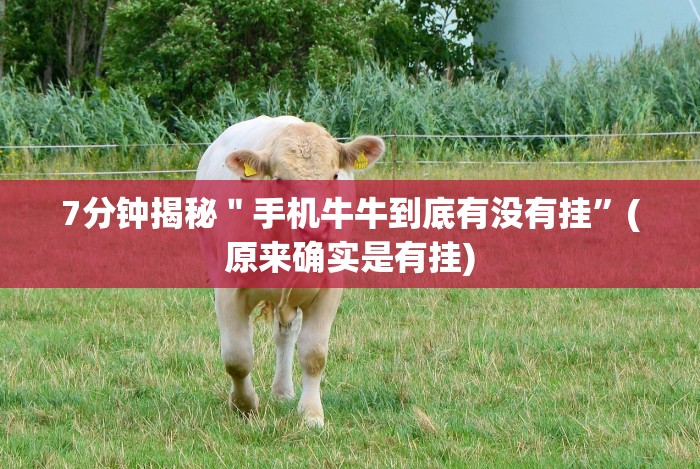 【出现一款新型】“微乐江苏麻将开挂免费下载安装”（透视挂）辅助神器教程