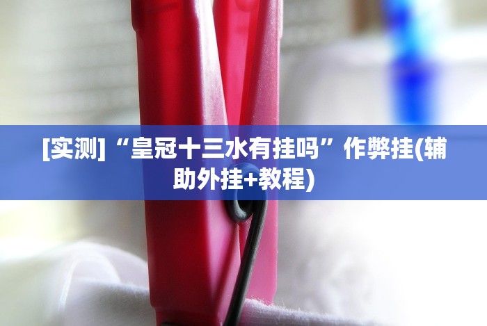 教程辅助“广东皮皮麻将有挂吗”确实有挂