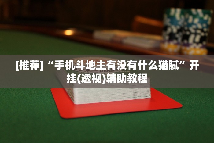 【独家发现】“福建旺旺麻将免费开挂”详细开挂玩法