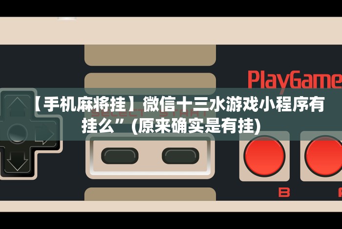 辅助盘点“小程序微乐陕西挖坑辅助器”作弊(透视)透视辅助