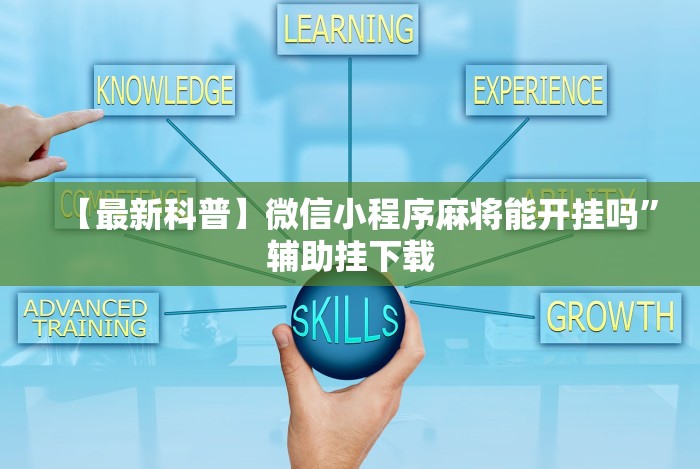 实测脚本“手机开挂教程”(曝光透视必备猫腻)