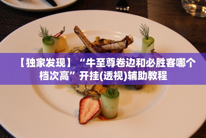 [教程经验]“榕城510k有挂吗”揭秘透视辅助万能挂用法