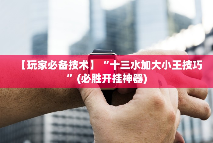 【玩家必备技术】“十三水加大小王技巧”(必胜开挂神器)