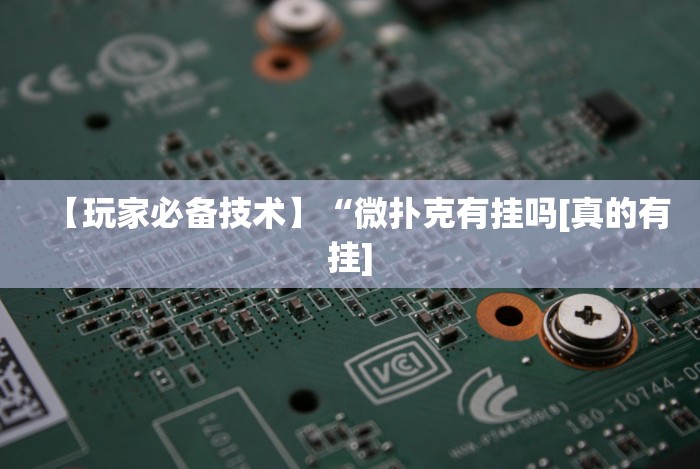 实测脚本“微乐填大坑挂免费”辅助神器插件下载