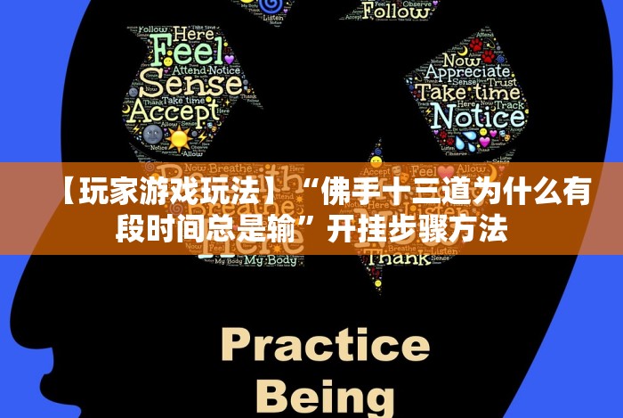 【玩家游戏玩法】“佛手十三道为什么有段时间总是输”开挂步骤方法