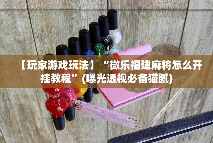 实测辅助“大唐跑得快能不能开挂”(果然有透视挂)