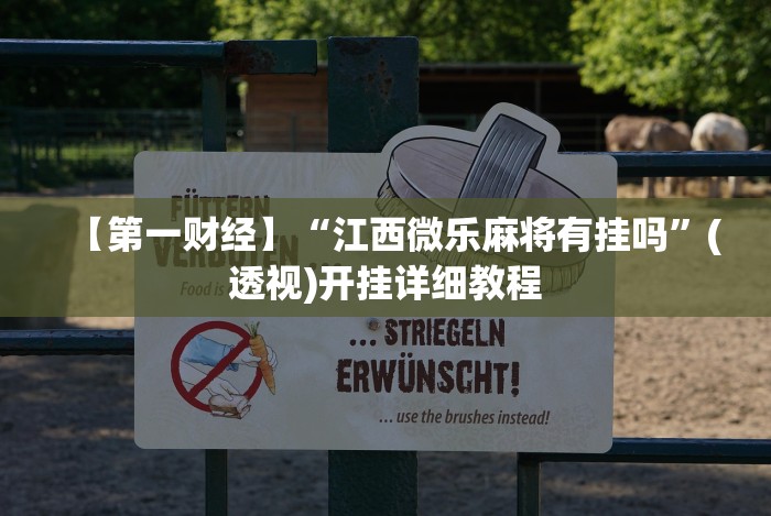 【第一资讯】“多乐麻将秘诀”(果然有透视挂)