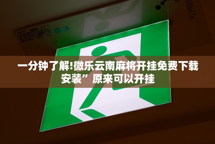 实测工具“微乐陕西麻将亲友房怎么开挂”开挂辅助详细步骤