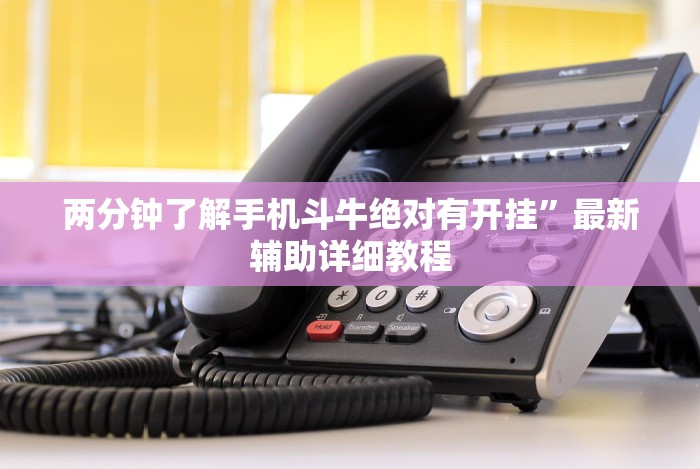 18秒详论!哥哥打大a作弊”详细辅助软件教程