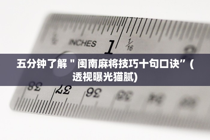 实测脚本“天天福建十三水一直输”原来可以开挂