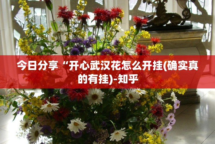 实测教程“德扑之星看牌器”掌握辅助功能必胜规则