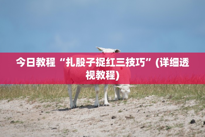 [分享]“福建旺旺麻将仙游能包赢吗!专业师傅带你一起了解(确实有挂)