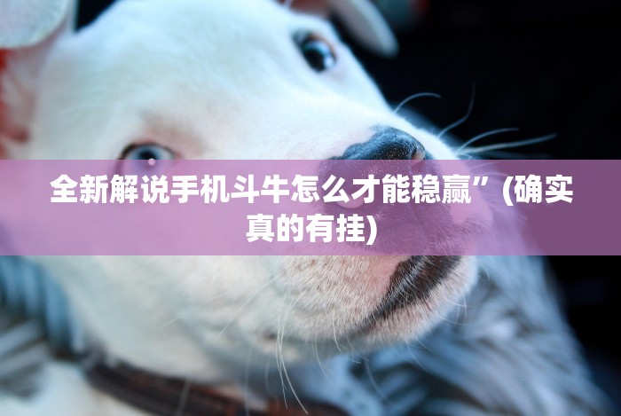 分析实测“闲娱江西棋牌打盾有没有规律(确实真的有挂)