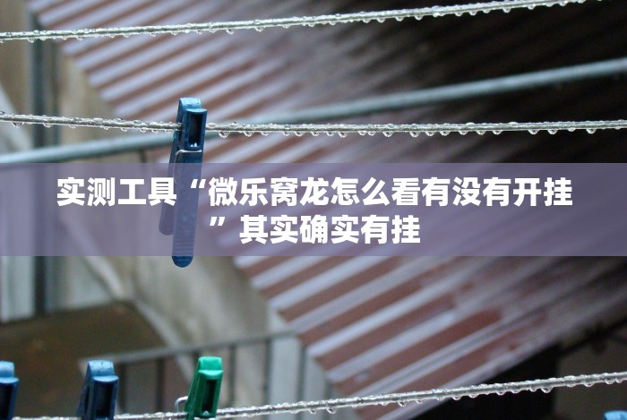 独家实测“中至窝龙开挂神器免费”作弊挂(辅助外挂+