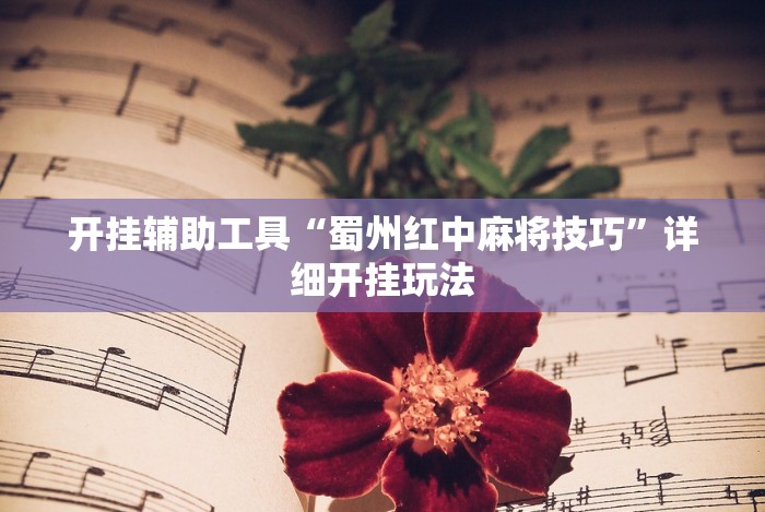 玩家辅助神器“菜鸟黑桃A3有挂吗”开挂辅助教程