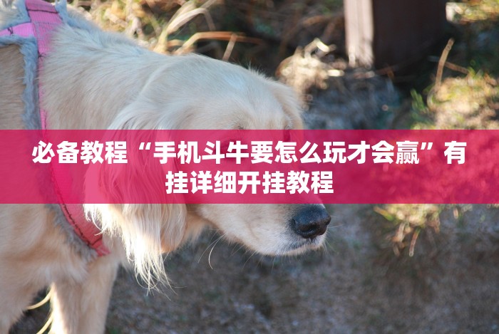 推荐一款”达人十三水到底有没有挂”详细外挂辅助详细教程