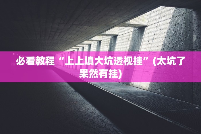 必看教程“上上填大坑透视挂”(太坑了果然有挂)