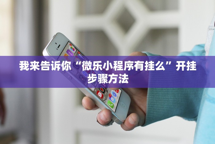 我来教你“九种九牌胡国士概率”分享用挂教程