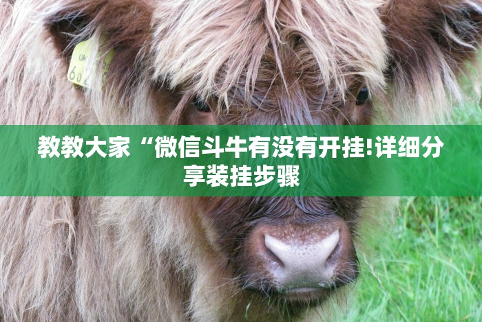 玩家必读“风云联盟开挂辅助软件”(透视挂)辅助透视教程