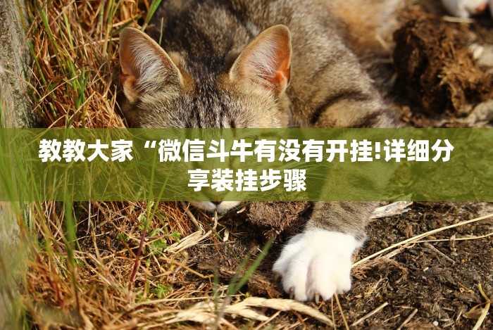 教程辅助!“皇豪互娱怎么开挂”-揭秘开挂教程分享