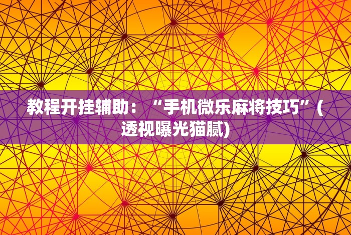 实测脚本“手机十三张辅助器”-玩家曝光开挂流程