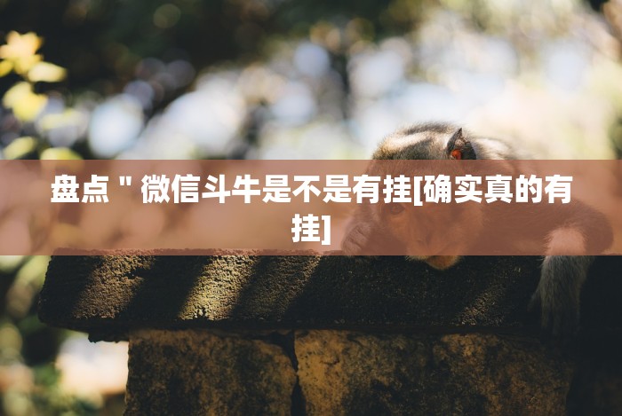 今日重大通报“微扑克德州发牌规律(透视)”开挂(透视)辅助教程