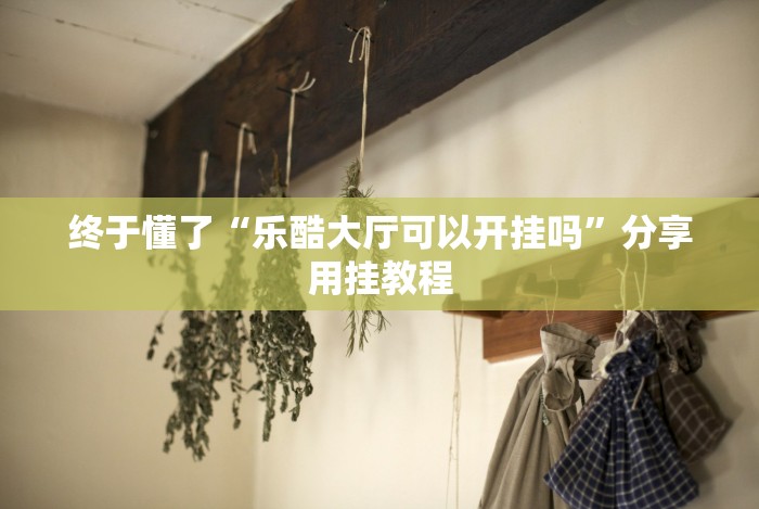 【最新科普】八闽福建麻将必胜攻略”(原来确实是有插件) 