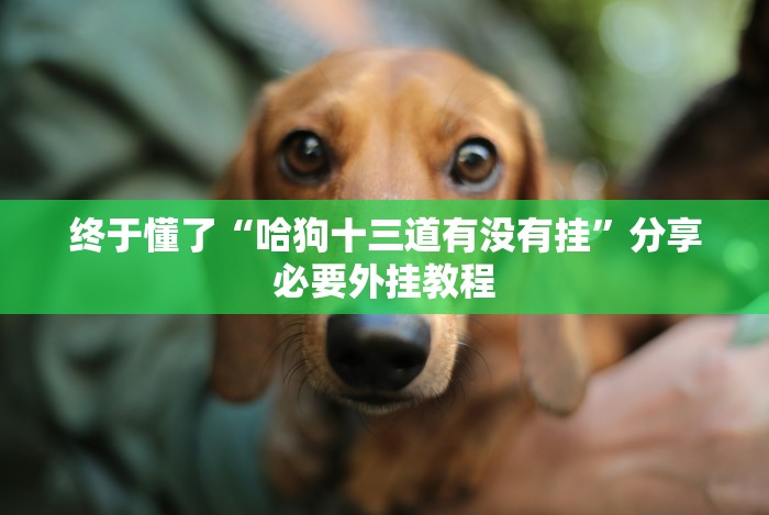 全网解答｜“手机里玩牛牛可以赢钱吗”开挂安装教程